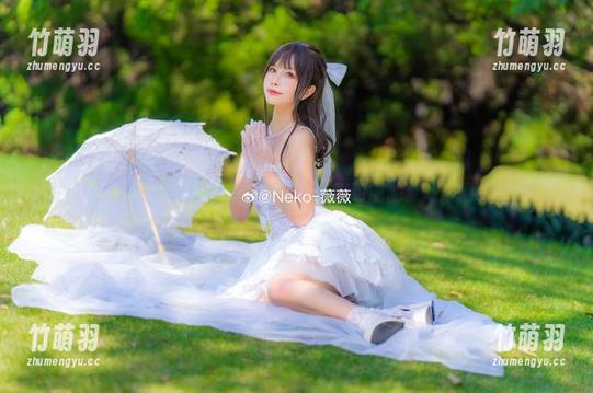 Neko薇薇私藏的雪夜锦礼合集：图包中的梦幻与温暖.txt