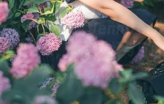 Xiuren秀人网 – 解锁Jennifer小若双人写真无圣光合集，体验友情与自由的完美融合时刻.txt