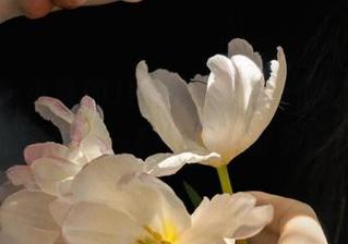 pans – 小青的JK写真作品让你的图库充满青春气息，一起分享这份美好！.txt