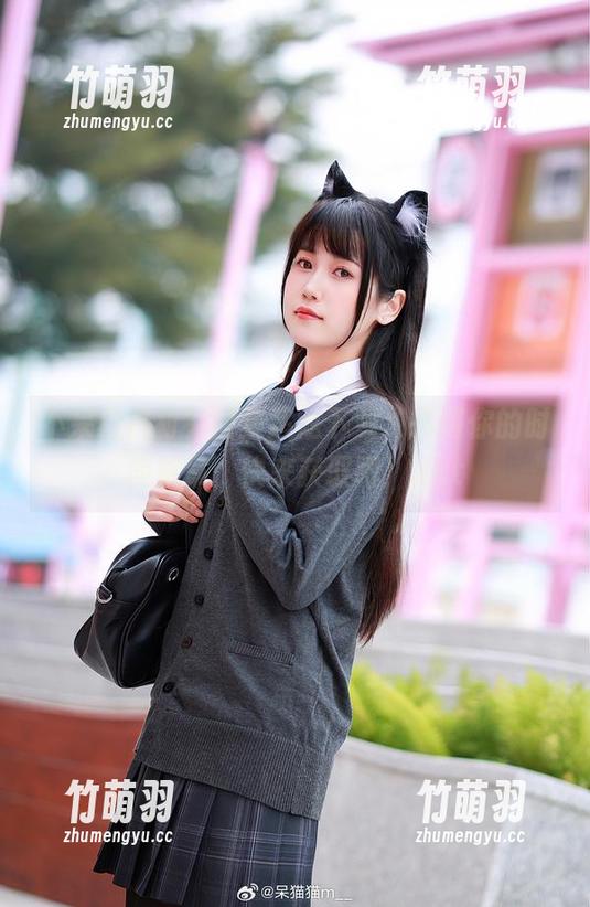 不呆猫白衬衫图集超炫下载，书写你的时尚篇章，快来获取吧！.txt