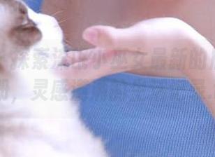 嗲囡囡 – 探索流氓小巫女最新的居家写真图册，灵感满满的生活记录.txt