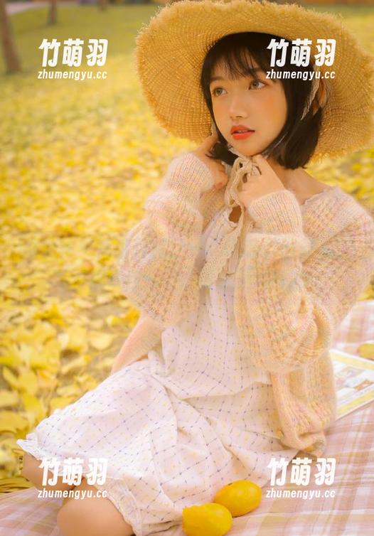 推女神 - 高清作品回顾：琪琪qlql甜心以写真展现自我，诠释甜美风格.txt