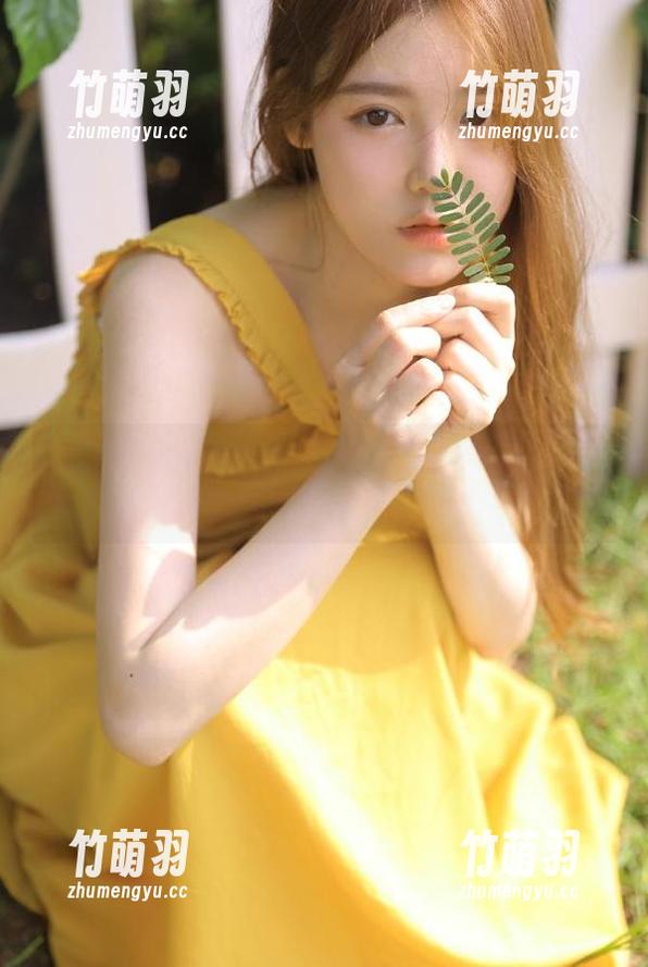 梦丝女神 - 每一张图片都是经典：苏柔的旗袍之路原图合集.txt