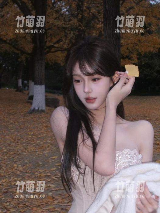 秀人网 - Niki可雅短裙的无圣光美图：展现自我的优雅与风采.txt