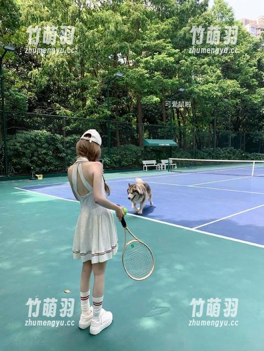 掌握时尚脉搏，织梦映像最新图包更新尽显艺术魅力，魂牵梦绕！.txt