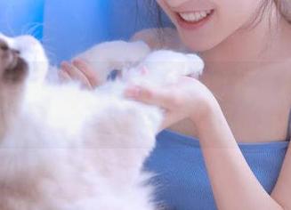 微密圈 – 探索脸红Dearie红酒美人写真合集，免费下载展现独特风格！.txt