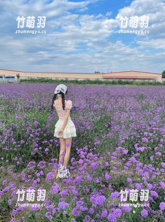 蜜桃社 - 黑色魅力尽显，Cris_卓娅祺私拍作品带你领略别样风情.txt