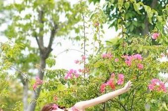 逐月Su分享Ai圣诞：别样风情的cos套图，带你领略季节的变幻.txt